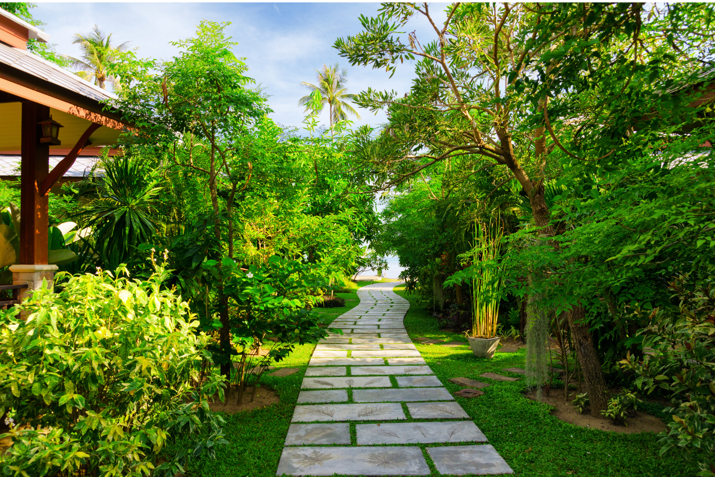 Countryside resort cottages among trees